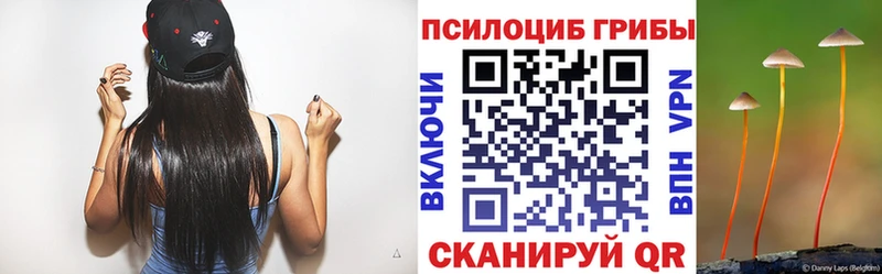 Псилоцибиновые грибы Magic Shrooms  купить наркоту  Алексин 